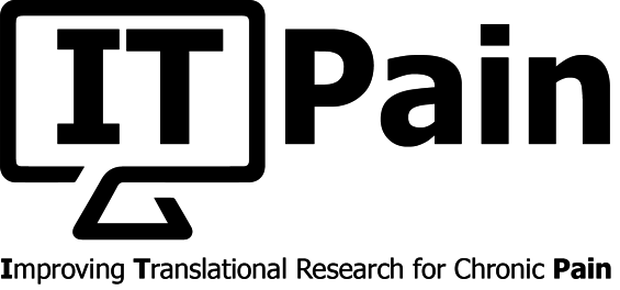 ITPain Project Logo